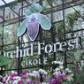 Orchid Forest Cikole di Bandung, Harga Tiket, Jam Buka, dan Rute