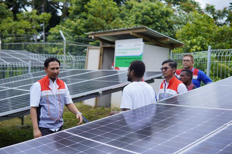 PLTS yang dipasang di Desa Berdikari Energi