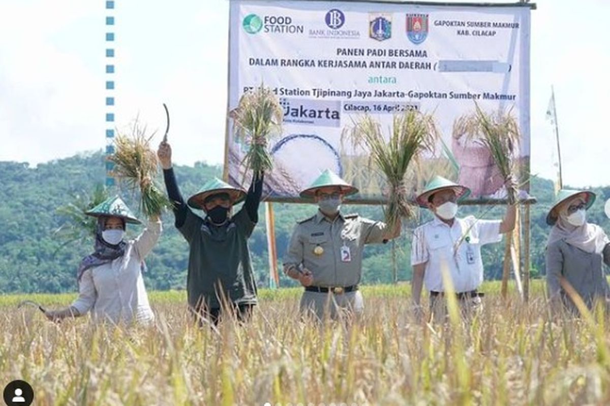 Gubernur DKI Jakarta Anies Baswedan melakukan panen padi bersama di Cilacap, Jawa Tengah 16 April 2021