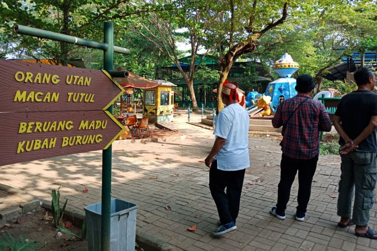 Batang Dolphin Centre dibawah Taman Safari Indonesia menyajikan beberapa keindahan binatang untuk sarana edukasi wisatawan.