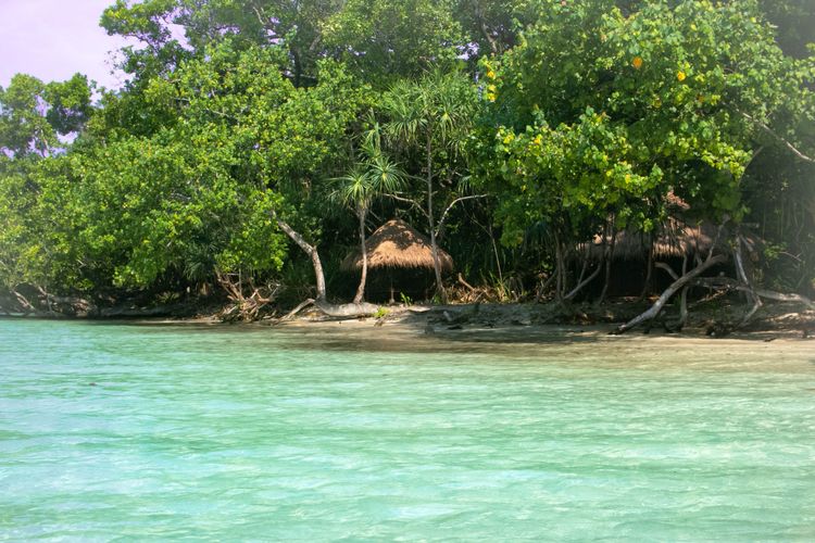 Pemandangan resor Nikki Peucang dari pantai pulau Peucang, Taman Nasional Ujung Kulon, Banten.