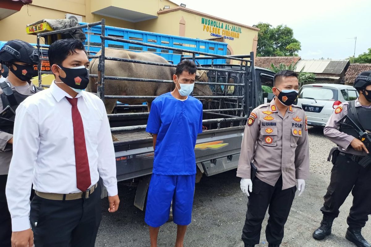 Pelaku pencurian hewan ternak diamankan Polsek Ciwandan