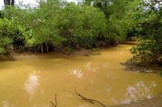 Warga IKN Terdampak Proyek Normalisasi Sungai Sepaku, BWS Kalimantan IV: Tidak Ada Relokasi, Hanya Ganti Rugi