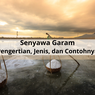 Senyawa Garam: Pengertian, Jenis, dan Contohnya
