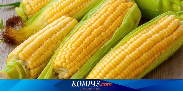 3 Cara Pilih Jagung Manis Kualitas Baik, Perhatikan Kulit Dan Rumbainya  Halaman All - Kompas.com