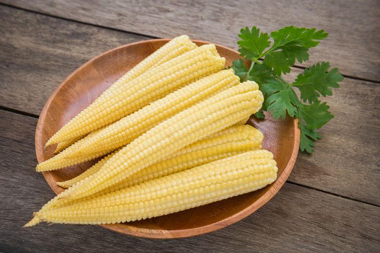 Ilustrasi jagung muda atau baby corn, jagung putren.