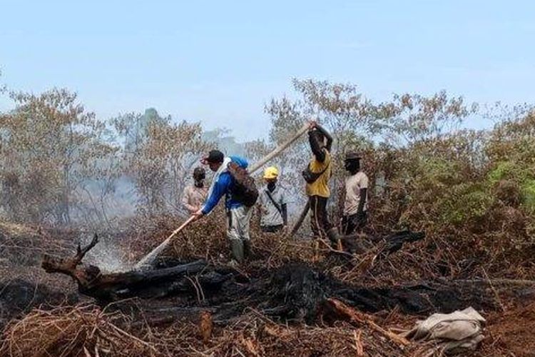 Kebakaran lahan gambut di Nagan Raya, Aceh.