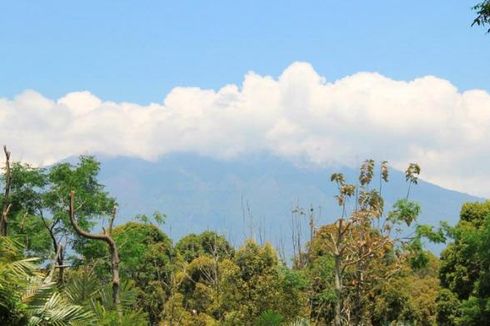 Gunung Raung Meletus 2 Kali, Hujan Abu Mengarah ke Jember