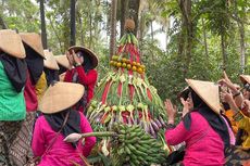 Tradisi Sedekah Bumi di Jepara, Warga Serbu 50 Gunungan