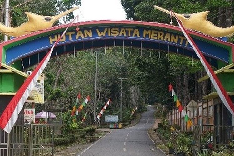 Detinasi wisata alam yang perlu dikunjungi saat berkunjung ke Kotabaru adalah Hutan Meranti Putih.