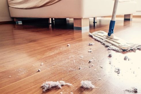 6 Tips Menghilangkan Debu di Rumah agar Lebih Sehat dan Bersih