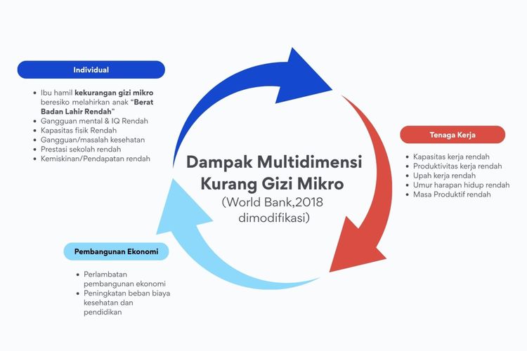 Dampak multidimensi dari kurangnya gizi mikro.