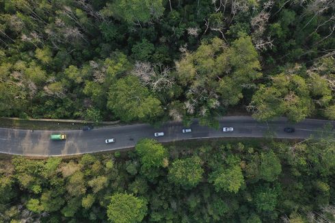 Mereka yang Mendapat Untung dari Pemindahan Ibu Kota