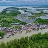 Di Pesisir Kalimantan, Rehabilitasi Mangrove Tak Lagi Sekadar Menanam