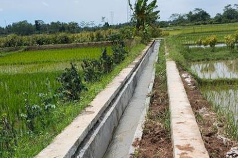 Tingkatkan Produksi Pertanian di Seberang Kapuas-Kalbar, Kementan Lakukan RJIT