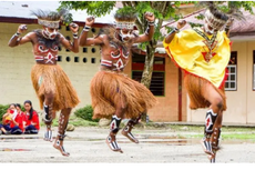 Tari Sajojo dari Papua: Asal-usul, Gerakan, Makna, Kostum Penari, dan Foto