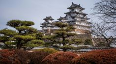 Peluang Beasiswa S1 di 4 Negara Maju yang Alami Krisis Penduduk, Cek Syaratnya