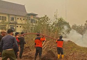 Karhutla Belum Usai, Lahan Hortikultura Palangka Raya Mulai Terdampak