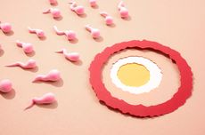 Mengenal Apa Itu Egg Freezing, Prosedur Medis untuk Simpan Sel Telur
