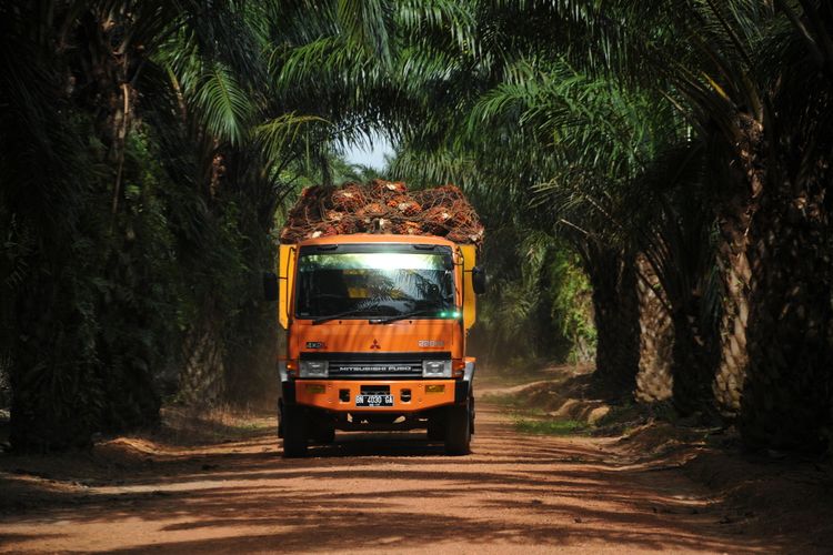 PT Austindo Nusantara Jaya (ANJ) Tbk mencatat pertumbuhan produksi yang cukup signifikan selama sepuluh bulan tahun 2021.