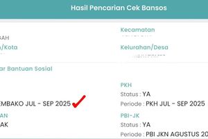 Cara Cek NIK KTP Apakah Terdaftar Bansos 2025, Lewat HP dan Situs Resmi Kemensos