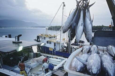 KKP Targetkan Ekspor Perikanan Capai 6 Miliar Dollar AS Pada 2020