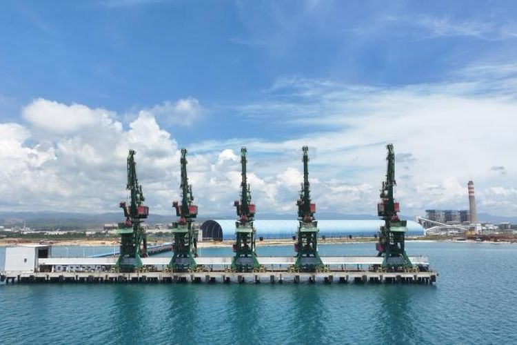 Setelah Nikel, Huabao Bakal Lirik Pengolahan Kelapa di Morowali