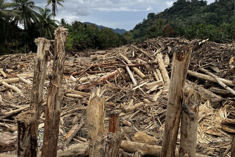 Gelondongan kayu di Desa Garoga, Tapanuli Selatan yang hilang ditelan banjir dan longsor 