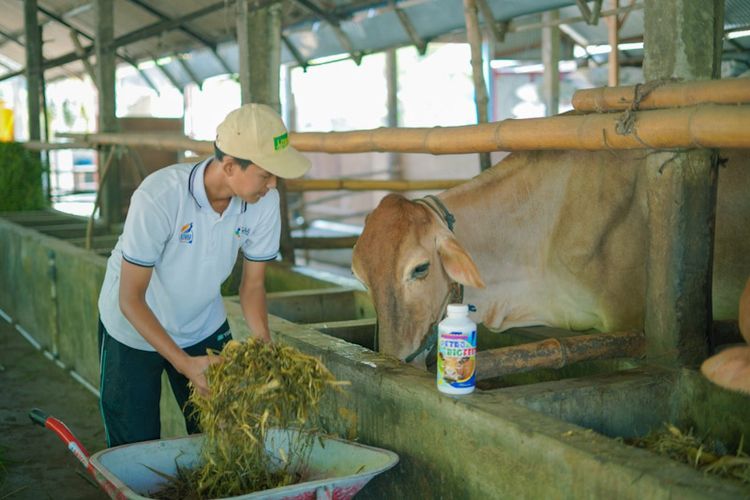 Petrokimia Gresik mendorong pengembangan edufarm di Desa Sumbersari, Kecamatan Sambeng, Lamongan, Jawa Timur.