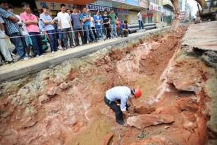 Warga kota Heyuan, China menyaksikan para arkeolog mengambil puluhan fosil telur dinosaurus yang ditemukan para pekerja saat tengah memperbaiki jalan di kota tersebut.