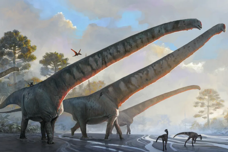 Ilustrasi Mamenchisaurus sinocanadorum, dinosaurus dengan leher terpanjang di Bumi. Panjang lehernya mencapai 15,1 meter, mengungguli kelompok sauropoda.