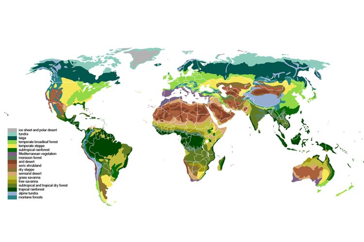 Peta berbagai jenis bioma di biosfer (permukaan bumi).