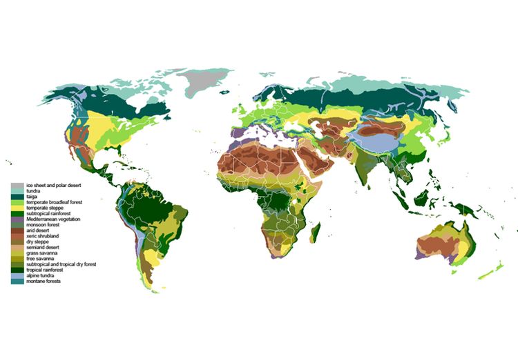 Foto : Bioma: Pengertian Dan Jenis-jenisnya