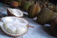 Sampah Kulit Durian di Bangka Capai 8 Ton Per Hari