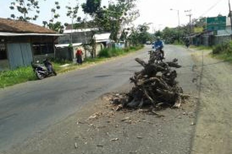 Jalan penghubung Kabupaten Jember- Banyuwangi, Jawa Timur, mengalami kerusakan yang cukup parah. Bahkan warga memasang tumpukan kayu karena ada jalan berlubang cukup dalam, Kamis (10/7/2014).