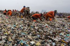 Pembersihan Lautan Sampah di Muara Angke Butuh Waktu Seminggu