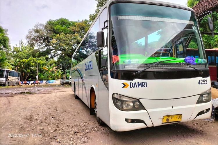 Bus DAMRI dengan rute Banyuwangi - Surabaya