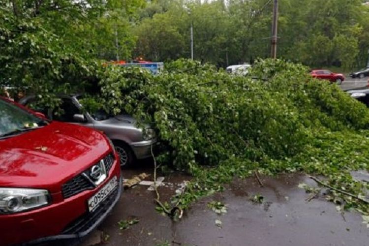 Badai di Moskwa, Rusia, menewaskan 11 orang dan melukai puluhan orang lainnya,