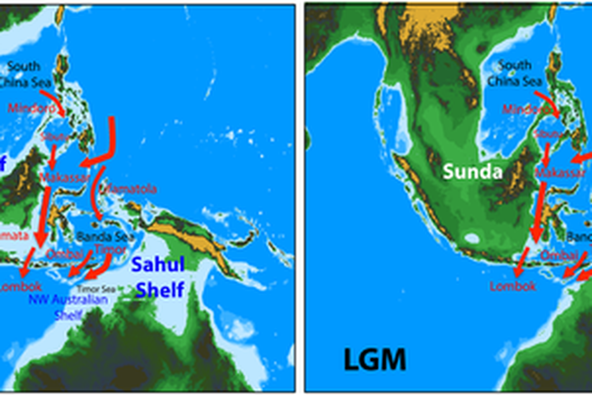 Perbandingan wilayah Indonesia sekarang (present) dan pada periode Last Glacial Maximum (LGM).