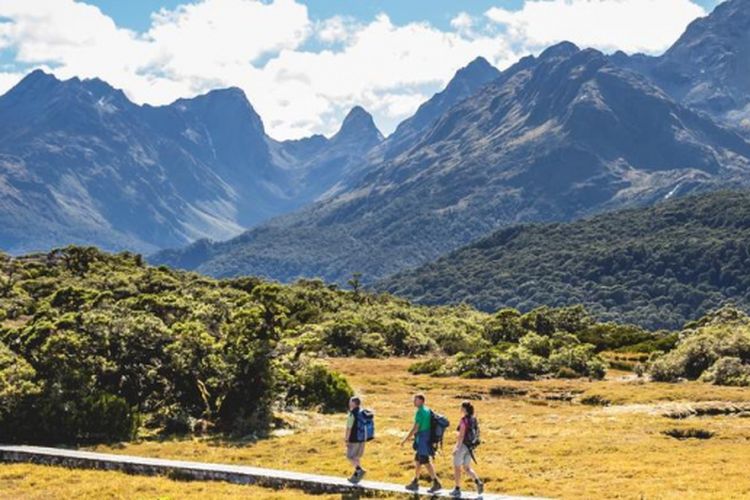 Hiking, salah satu aktvitas yang bisa dilakukan saat berlibur di Selandia Baru. 