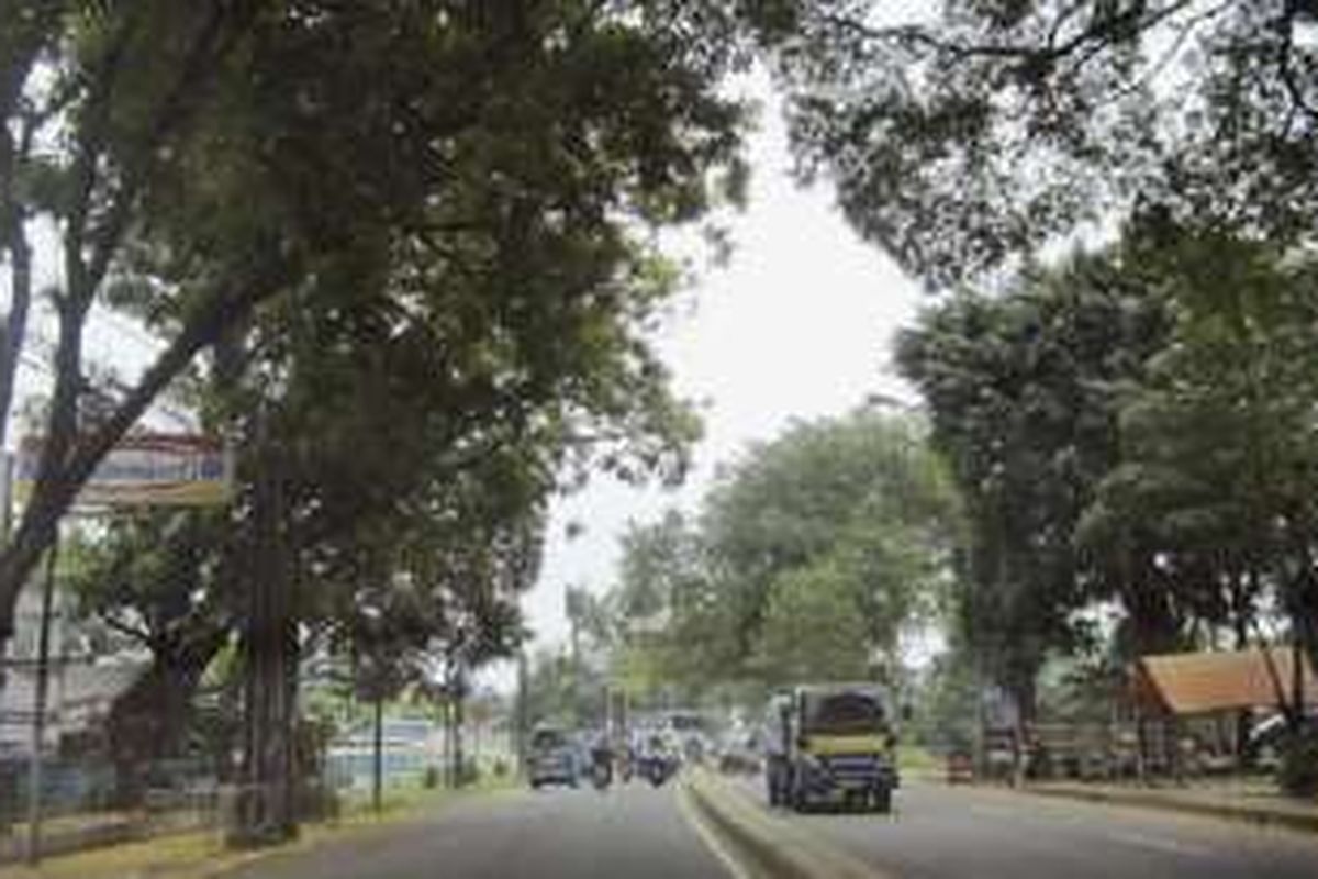 Suasana Jalan Raya Bogor di Cimanggis, Kota Depok, Rabu (26/10). Masih banyak pohon besar yang tersisa di kawasan ini. Dulu, sebagian besar adalah pohon asem. 
