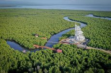 New Observatory Tower amid Southeast Asia’s Largest Mangrove Forests Introduced in Indonesia’s Aceh