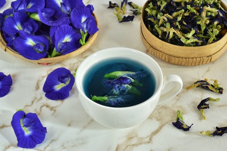 Ilustrasi teh bunga telang, ketahui siapa saja yang tidak boleh minum teh bunga telang