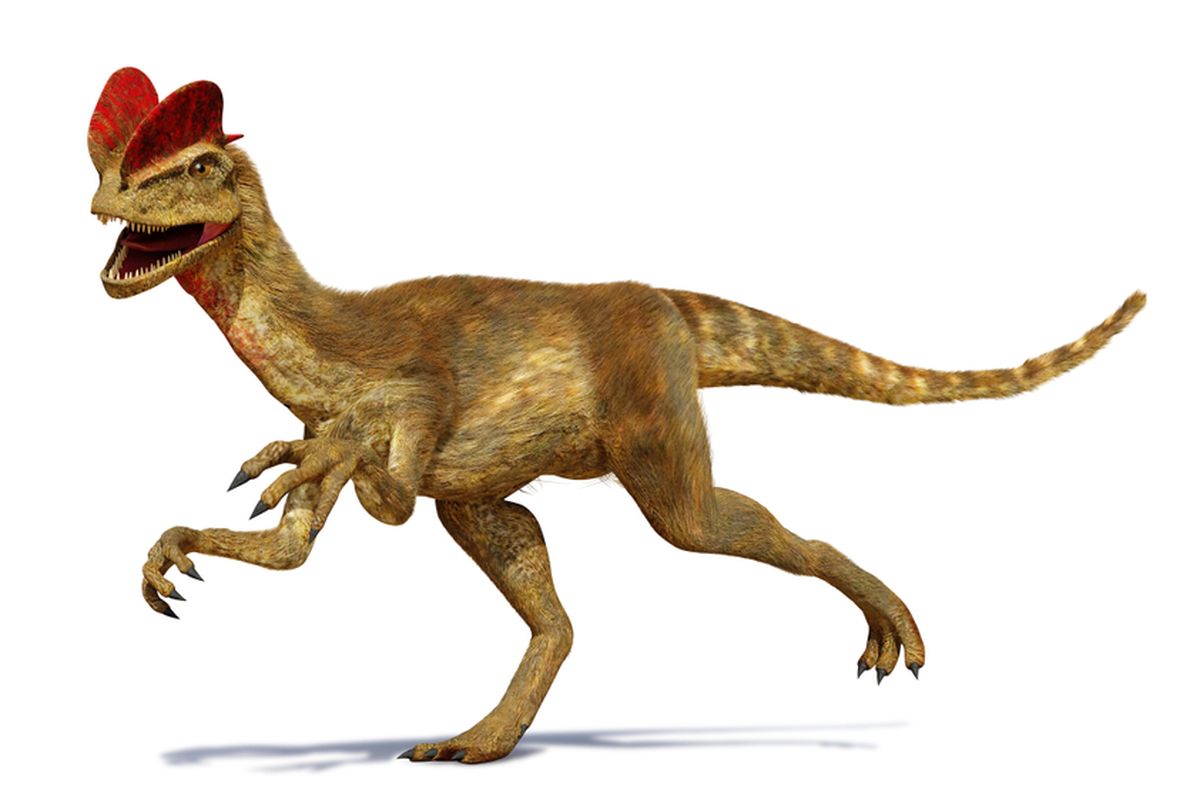 Dilophosaurus