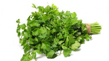 Cara Menyimpan Seledri di Kulkas, Bisa Tahan Satu Bulan