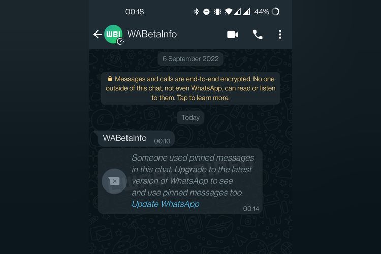 Ilustrasi fitur Pinned Message di WhatsApp.