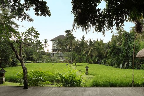 Merasakan Sensasi Menginap di Hotel Mewah di Tengah Sawah Ubud