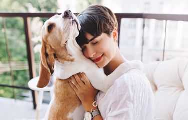 Ketahui, Perbandingan Umur Anjing dengan Manusia Halaman all ...