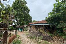 Daftar Harga HP Samsung, iPhone, dan OPPO Hari Ini 15 Desember 2025