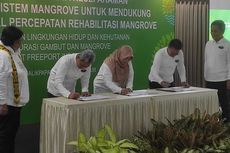 Freeport Indonesia Teken MoU Rehabilitasi Mangrove di Wilayah IKN